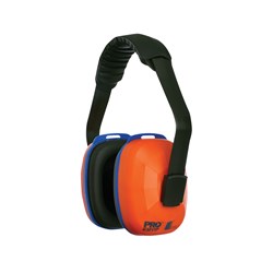 Hearing Protection